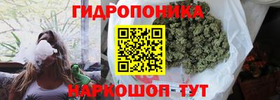 apvp Гусиноозёрск