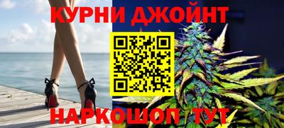 молекула духа Пугачёв