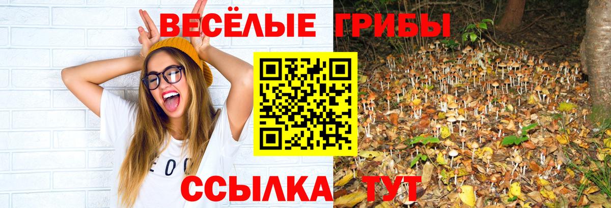 Галлюциногенные грибы прущие грибы Россия